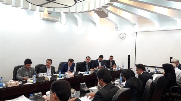 الهامی در دیدار با هیئت اقتصادی اتریشی متقاضی سرمایه گذاری در کرمان، فرصت های سرمایه گذاری استان را تشریح نمود.