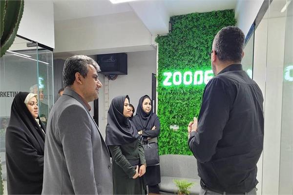 زودکس؛ پیشتاز اقتصاد دیجیتال کرمان با سهم ۶۰ درصدی از بازار