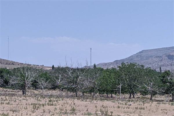 اتصال 2527 نفر در روستای ده زیار کرمان به شبکه ملی اطلاعات
